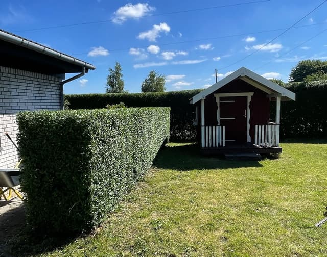 Hækklipning (Hækkeklipning) – billede 1